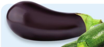 Large Eggplant