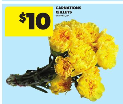 CARNATIONS