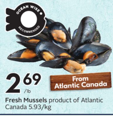 Fresh Mussels