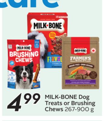 Dog Treats or Brushing Chews