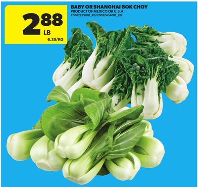 BABY OR SHANGHAI BOK CHOY
