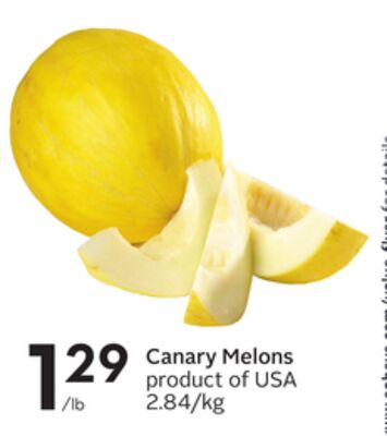 Canary Melons
