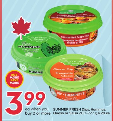 SUMMER FRESH Dips, Hummus, Queso or Salsa