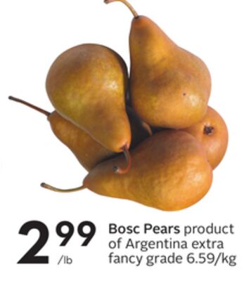 Bosc Pears