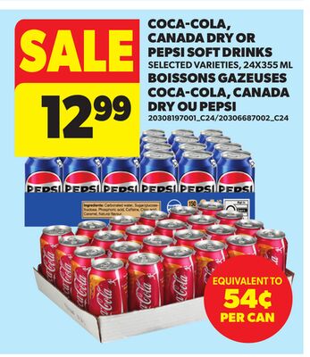 CANADA DRY OR PEPSI SOFT DRINKS, 24X355 ML