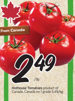 Hothouse Tomatoes