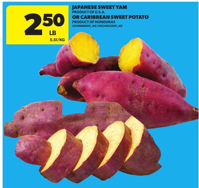 JAPANESE SWEET YAM OR CARIBBEAN SWEET POTATO