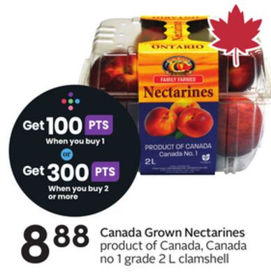 Canada Grown Nectarines