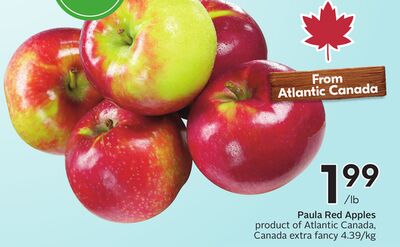 Paula Red Apples