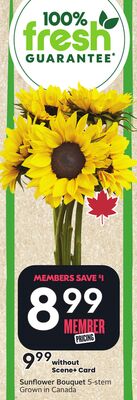 Sunflower Bouquet