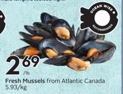 Fresh Mussels