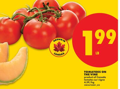 TOMATOES ON THE VINE