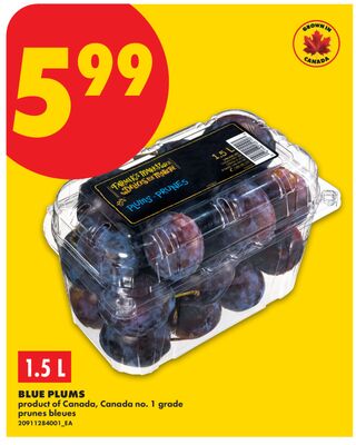 BLUE PLUMS, 1.5 L