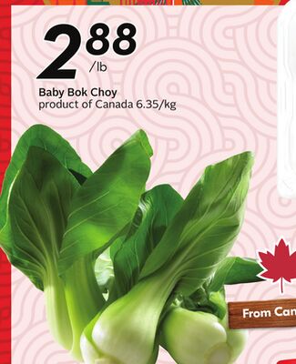 Baby Bok Choy