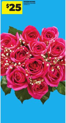DOZEN ROSES