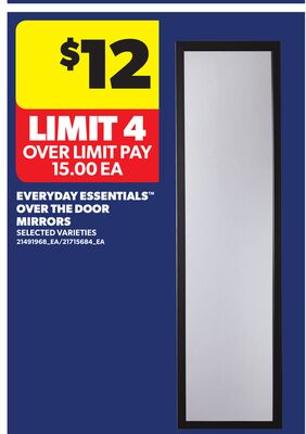 EVERYDAY ESSENTIALS™ OVER THE DOOR MIRRORS