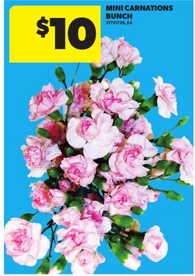 MINI CARNATIONS BUNCH
