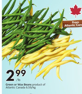 Green or Wax Beans