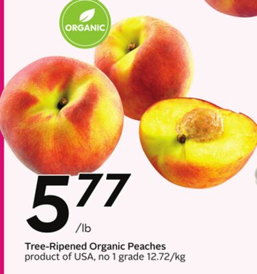 Tree-Ripened Organic Peaches - Peach Fest