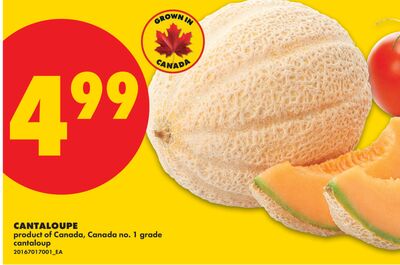 CANTALOUPE