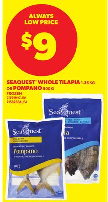 SEAQUEST WHOLE TILAPIA, 1.36 KG OR POMPANO, 800 G