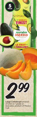 Large Cantaloupe
