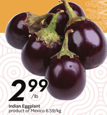 Indian Eggplant