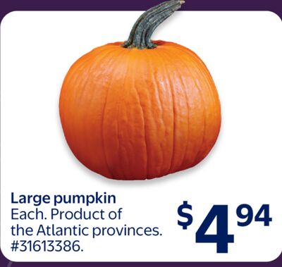 Large pumpkin