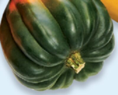 Acorn, butternut or spaghetti squash