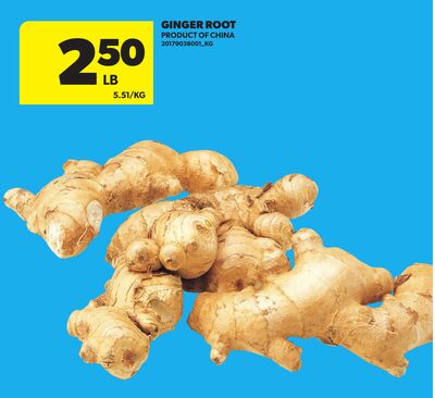 GINGER ROOT