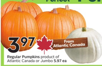 Regular Pumpkins