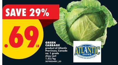 GREEN CABBAGE