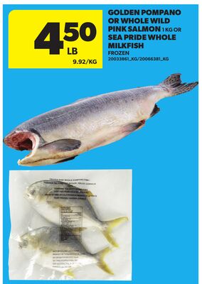 GOLDEN POMPANO OR WHOLE WILD PINK SALMON 1 KG OR SEA PRIDE WHOLE MILKFISH