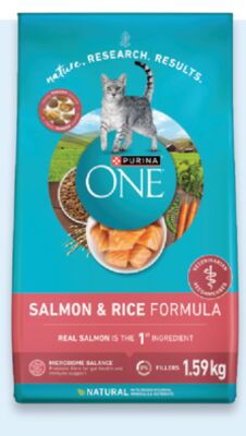 Purina ONE dry cat food