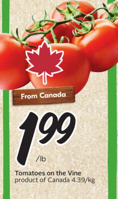 Tomatoes on the Vine